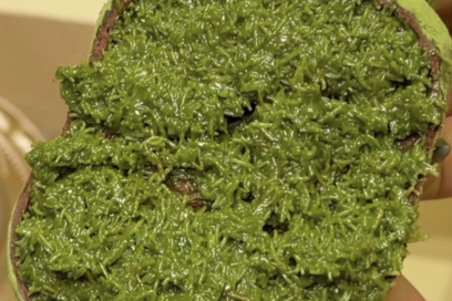 도쿄 OKUDOCAFE 두쫀쿠 반값 이벤트 & 일본 카페 리스트