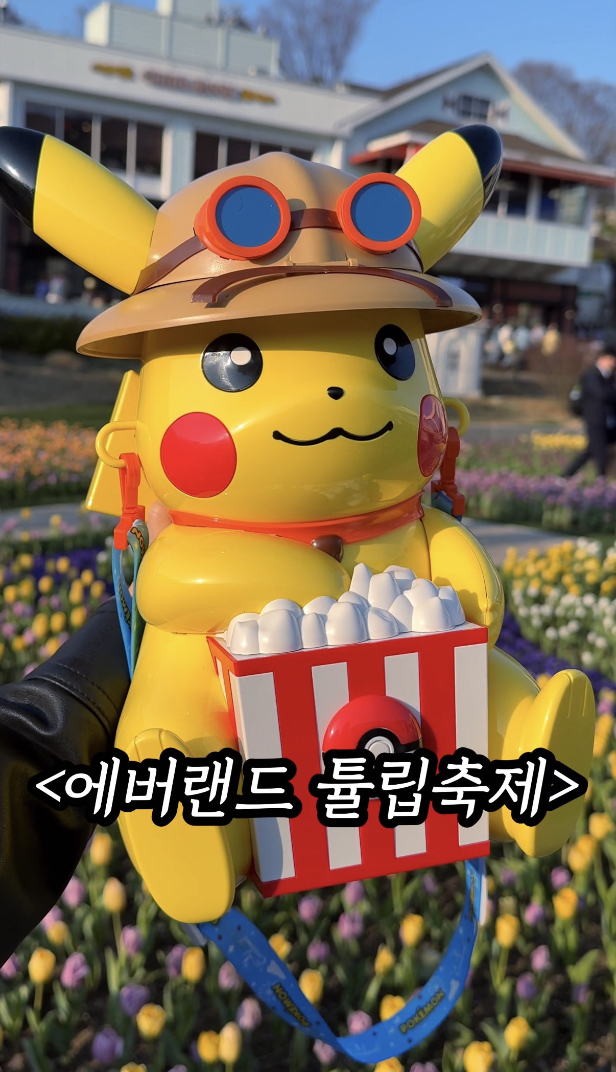 2026 에버랜드 50주년 튤립 축제: 싸게 예매하는 법 총정리