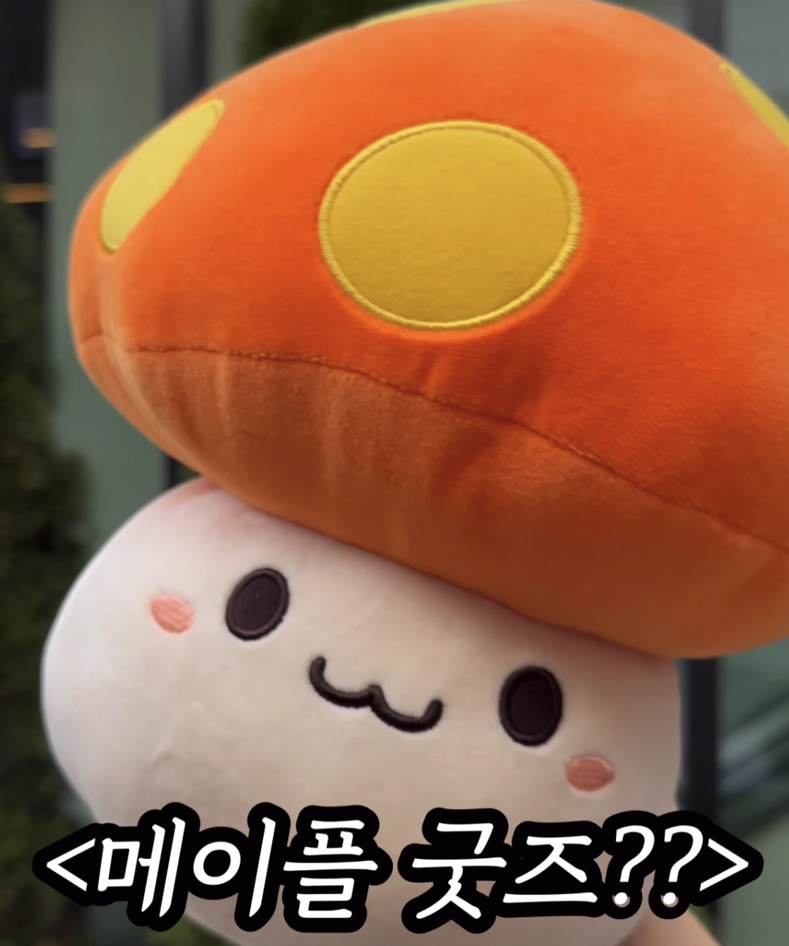 2026 롯데월드 메이플 먹거리 위치 총정리: 주황버섯 빵부터 포션까지 총정리